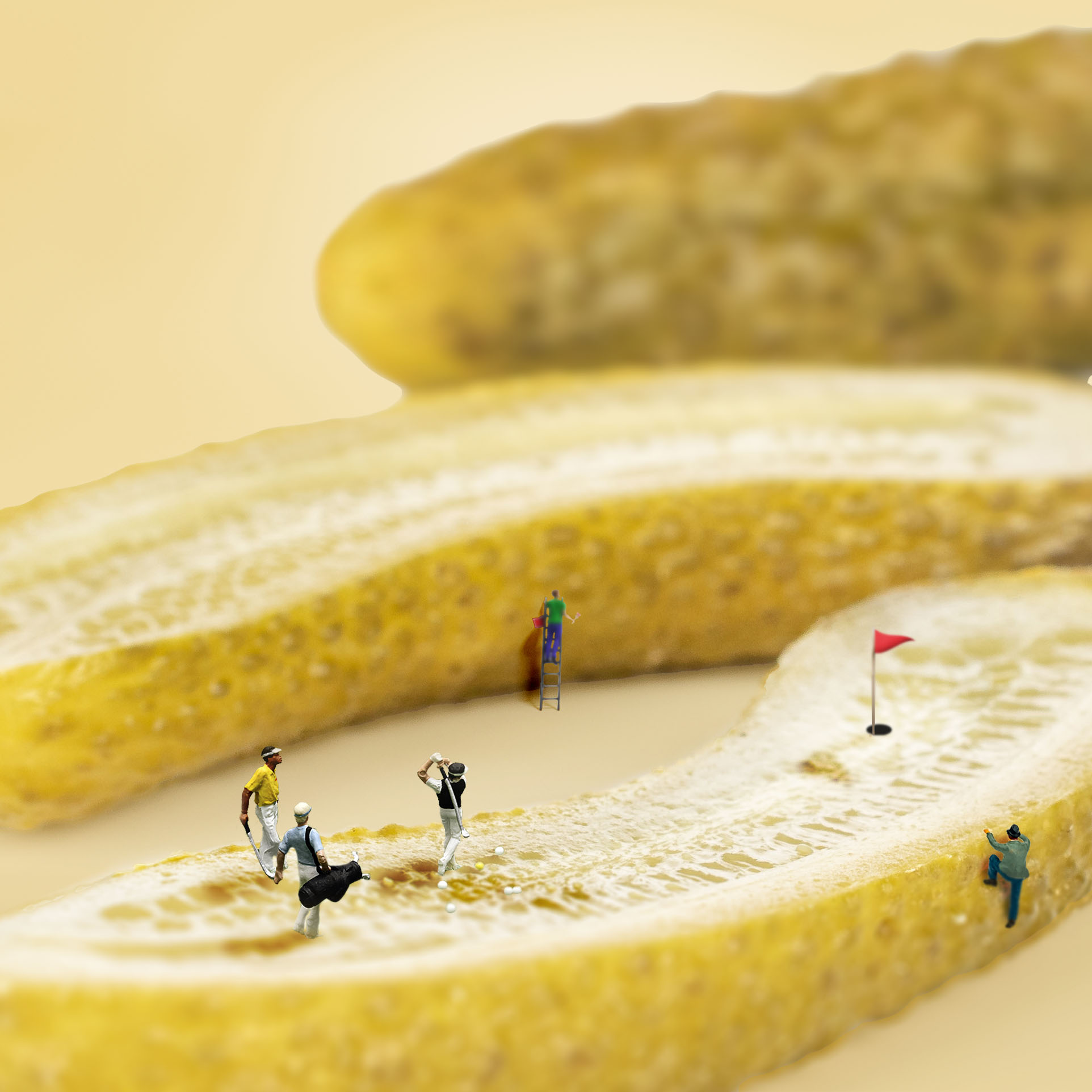 Kuhne pickle