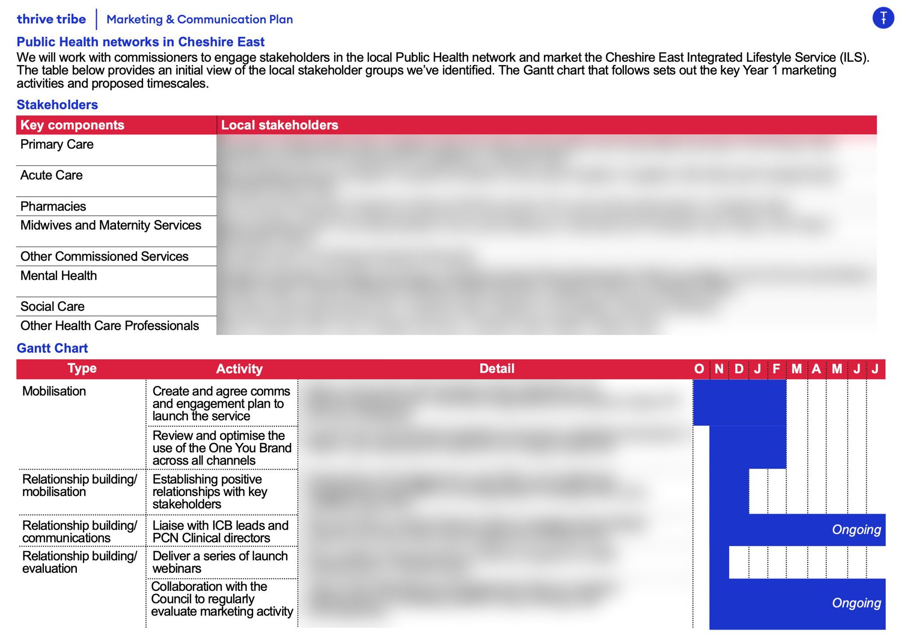 Marketing plan page with stakeholder table and Gantt chart, details blurred