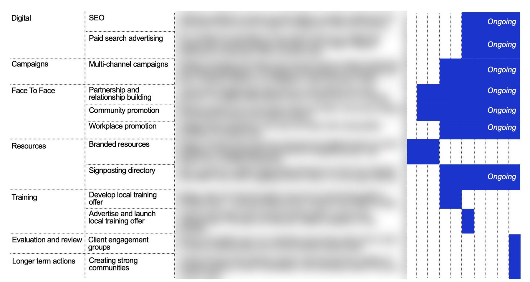Year one activity Gantt chart, details blurred